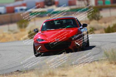 media/Mar-08-2025-Extreme Speed (Sat) [[4abb97269e]]/Purple/Turns 2  and  4 (Session 2)/
